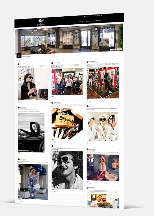 Web stranica - Optika Stepinac